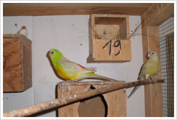 JV2012_10a