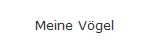 Meine Vgel